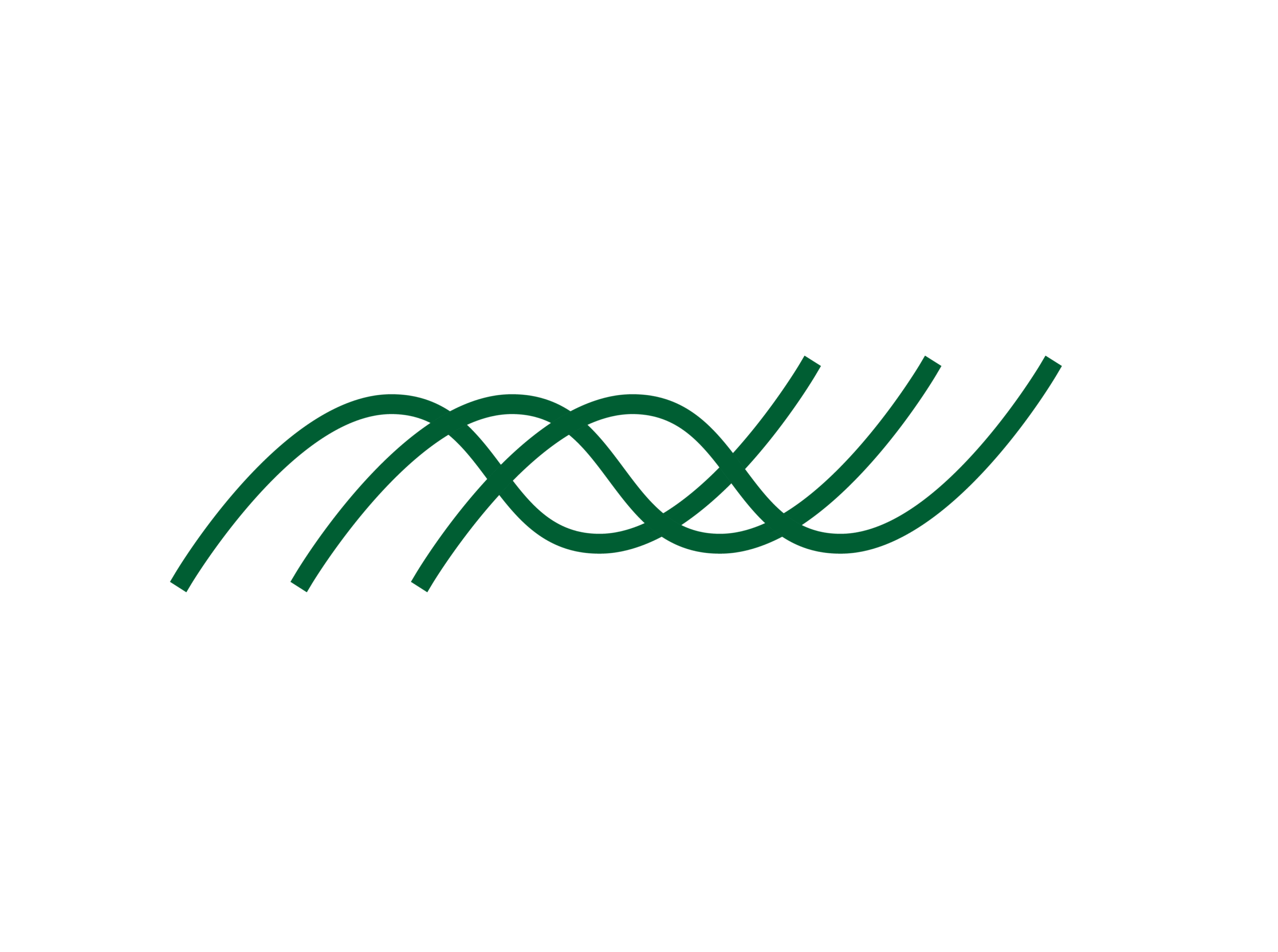 MIDORI Inc.